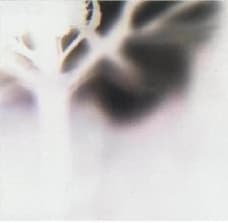 Anton Lennartsson – Namur