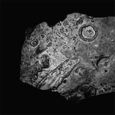 Andreas Bertilsson – Paramount