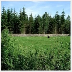 On Landscape Architecture